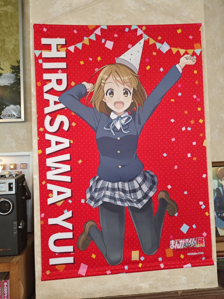 Image 31